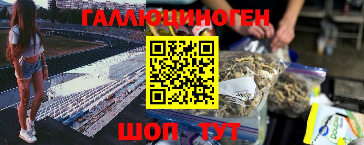 Галлюциногенные грибы Psilocybe Камышлов