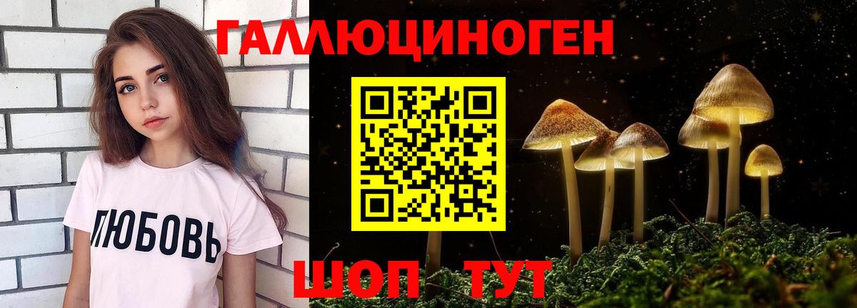 Псилоцибиновые грибы прущие грибы  Вход с VPN  Камышлов 